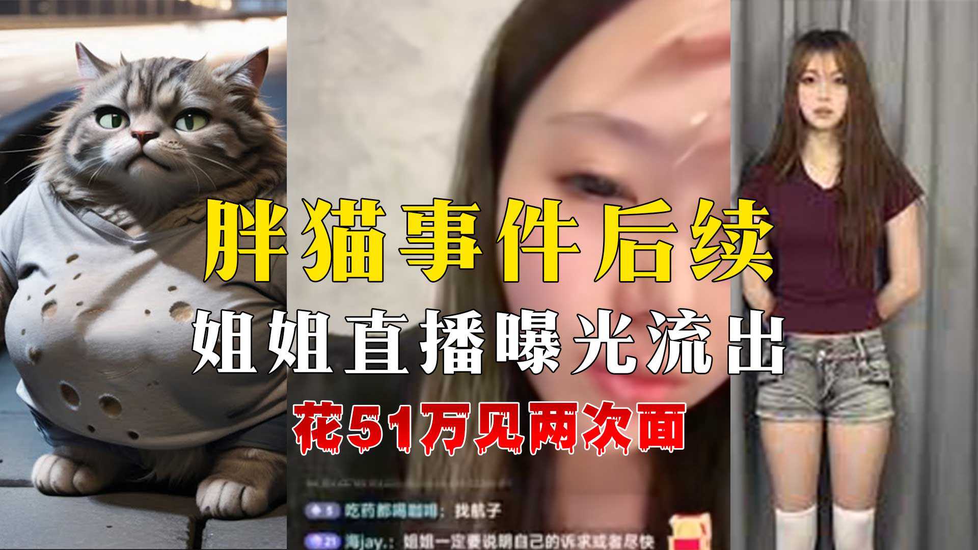 胖貓事件後續姐姐直播曝光答疑解惑聲淚俱下