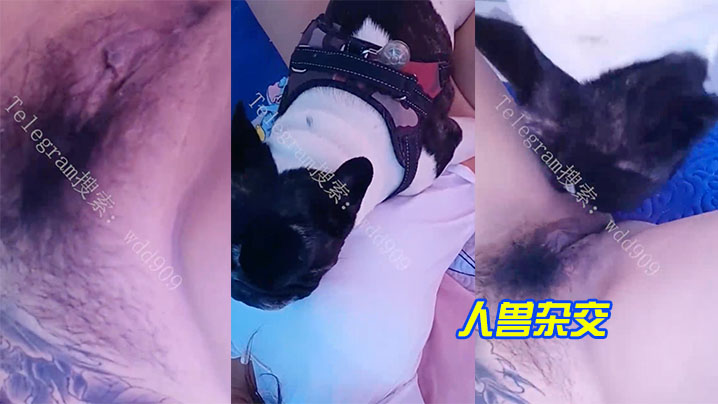 人獸雜交