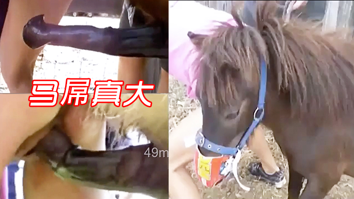 馬屌真大